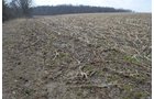 Property photo 92 - 98+/- Acres Offered in 6 Tracts or Combinations, Noble County, Indiana Farm